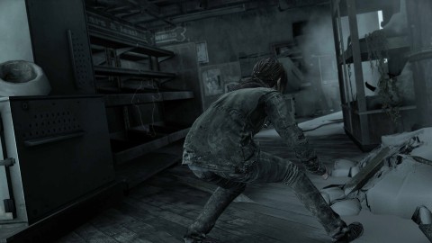 Sony The Last of Us Remastered (PS Hits)