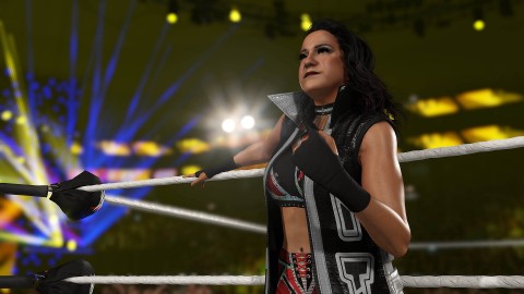 Take-Two Interactive WWE 2K25 Standard PlayStation 4