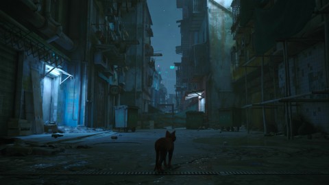 Take-Two Interactive Stray Standard Cinese semplificato, Cinese tradizionale, Tedesca, DUT, Inglese, ESP, Francese, ITA, Giapponese, Coreano, Portoghese, Russo Nintendo Switch