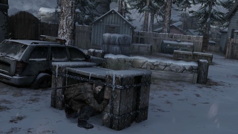Sony The Last of Us Remastered (PS Hits)