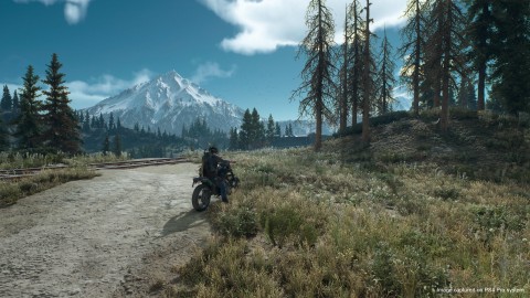 Sony PS4 Days Gone
