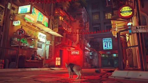 Take-Two Interactive Stray Standard Cinese semplificato, Cinese tradizionale, Tedesca, DUT, Inglese, ESP, Francese, ITA, Giapponese, Coreano, Portoghese, Russo Nintendo Switch