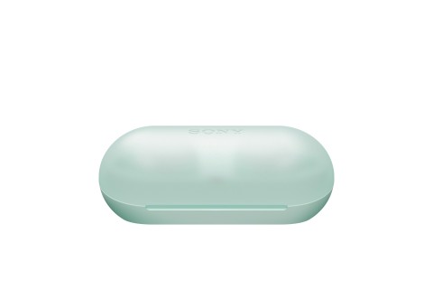 Sony Auricolari WF-C500 True Wireless - Fino a 20 ore di durata della batteria con custodia di ricarica - Compatibile con l'Assistente Vocale - Microfono integrato per le telefonate - Connessione Bluetooth affidabile - Verde