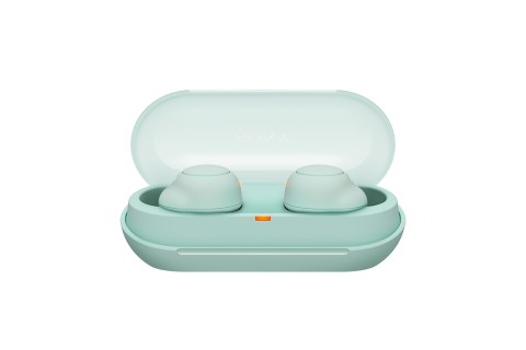 Sony Auricolari WF-C500 True Wireless - Fino a 20 ore di durata della batteria con custodia di ricarica - Compatibile con l'Assistente Vocale - Microfono integrato per le telefonate - Connessione Bluetooth affidabile - Verde