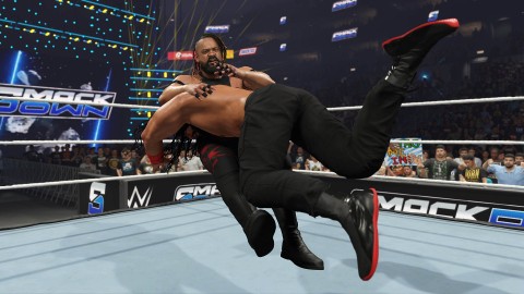 Take-Two Interactive WWE 2K25 Standard PlayStation 4