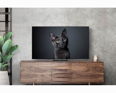 Samsung QE55S90CAT 139,7 cm (55") 4K Ultra HD Smart TV Wi-Fi Nero