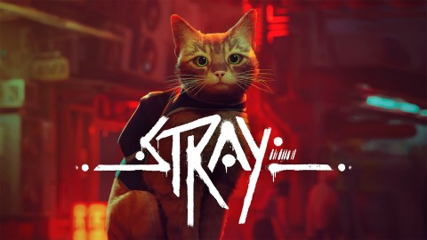 Take-Two Interactive Stray Standard Cinese semplificato, Cinese tradizionale, Tedesca, DUT, Inglese, ESP, Francese, ITA, Giapponese, Coreano, Portoghese, Russo Nintendo Switch
